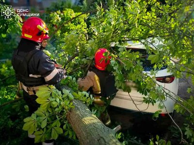 Severe weather hits several regions of Ukraine: fallen trees block roads and crush cars