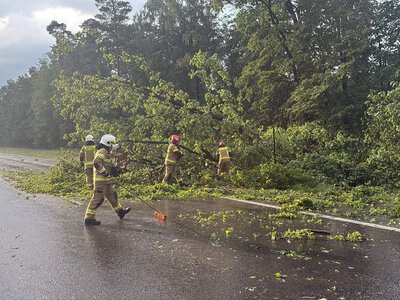 Tornado in Poland: Dozens of buildings damaged, roofs torn off