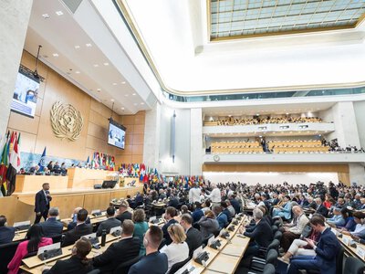 Protecting workers' rights amid conflicts and AI development: International Labour Conference opens in Geneva