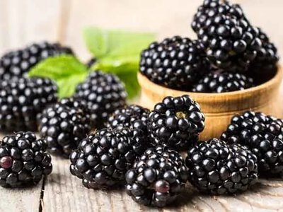 Blackberries, apples, and green tea: scientists name the best foods for heart health