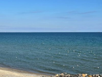 13 safe beaches for recreation and recovery officially opened in Odesa