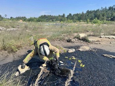 Rescuers in Rivne Region Pull Dog from Deep Tar Pit