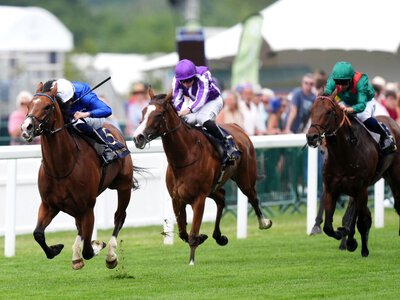 Royal Ascot: John Gosden hails Ombudsman among his greats after wowing crowd in Prince Of Wales's Stakes