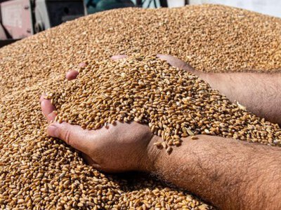 Ukrainian ports move 40 mln tons of cargo despite Russian attacks, including 20 mln tons of grain