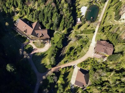 Medvedchuk's dacha on 220 hectares of state forest - six officials served suspicion notice