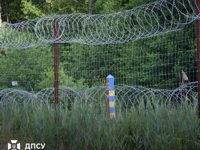 Belarus has stated that it is ready to let Ukrainians into its forests for berries and mushrooms - the State Border Guard Service says it has not received such notifications