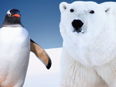 From Antarctica to the Arctic: Ukraine and Poland expand joint polar research