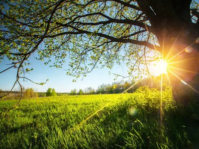 In Ukraine on Sunday, temperatures up to +38°C are expected, with rain forecast only in some regions