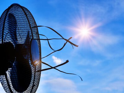Heat up to +38 degrees expected in Ukraine at the beginning of next week