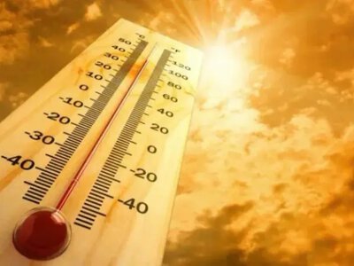 In France, about 1,000 additional deaths recorded due to record heat