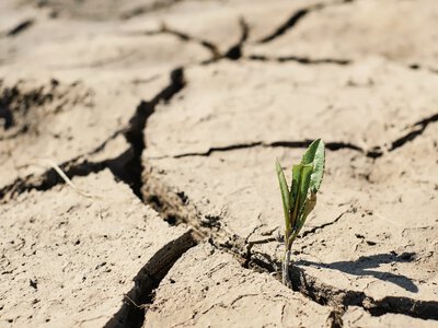 India records fifth driest June since 1901 due to monsoon delay