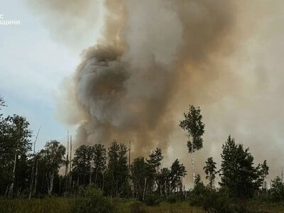 Largest forest fires are currently in Chernihiv and Kharkiv regions, 24 more have been extinguished in two days - Forests of Ukraine