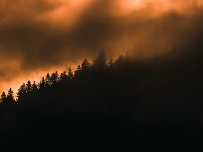 Firefighters in southern France are battling a forest fire after a heatwave