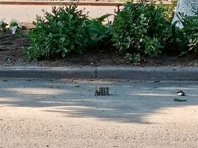 In the Kursk region, the car of the head of the district administration was blown up, five people were injured