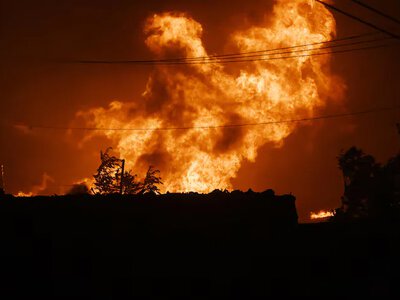 In Europe, massive forest fires have destroyed over 17,000 hectares of land
