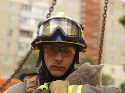 There is a place for good. In Kyiv, a cat was rescued from a damaged apartment after a Russian shelling