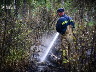 A forest fire that lasted two weeks has been extinguished in the Chornobyl Exclusion Zone