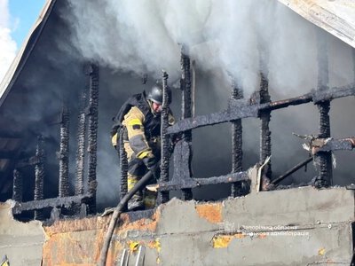 Number of victims of Russian attacks on Zaporizhzhia rises to 29 - OVA