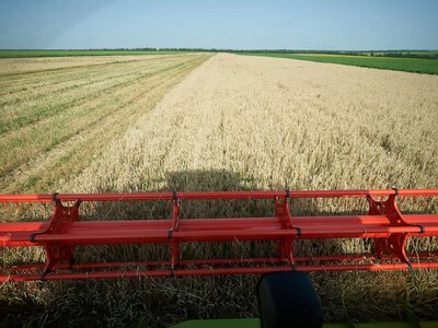 In Ukraine, farmers in all regions have started the harvest