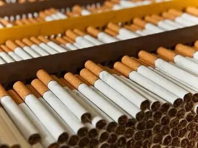 Share of smuggled cigarettes on Ukraine's illegal market halved - customs