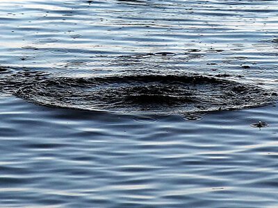 In Kharkiv region, three children fell into the water, an 11-year-old girl drowned