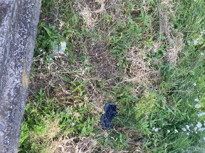 At a railway station near Kyiv, the body of a 14-year-old boy was found