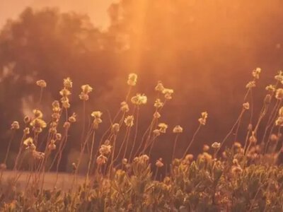 August may become the hottest in terms of duration, but the upcoming heat will be short-lived - forecaster
