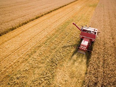 In Zaporizhzhia, over 1,800 hectares of crops were destroyed due to enemy shelling