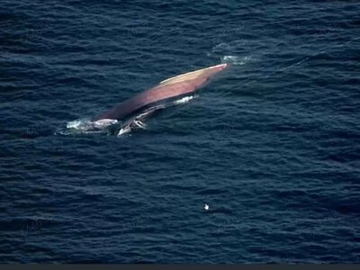In Odesa region, monitoring of the Black Sea waters was introduced after the Russian-attacked vessel Golden Leo sank