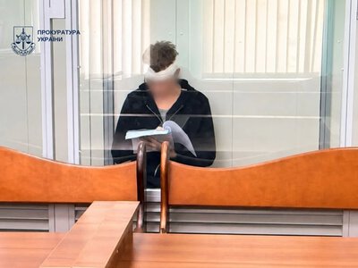 A Kyiv resident who stabbed a military medical commission doctor 17 times has been taken into custody without bail