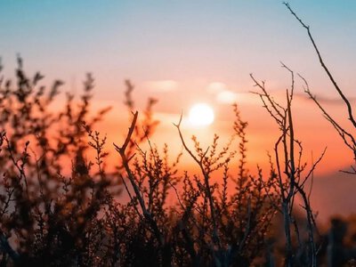 Heat up to +35° and rain in the west: weather forecast for August 2