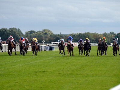 Today on Sky Sports Racing: Ripon and Windsor feature live on Monday
