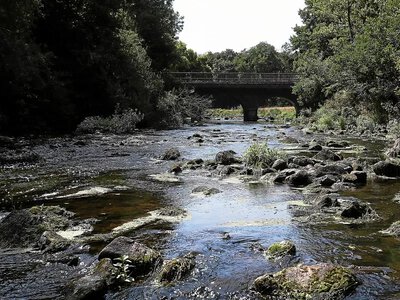 France faces the worst drought in its history - over 1,300 watercourses are drying up