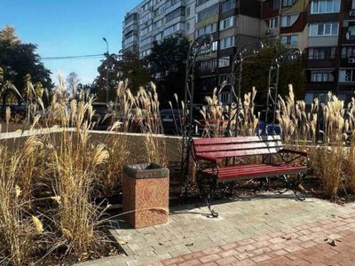 Eco-solutions: Kyiv updates greening strategy and expands ornamental grass plantings