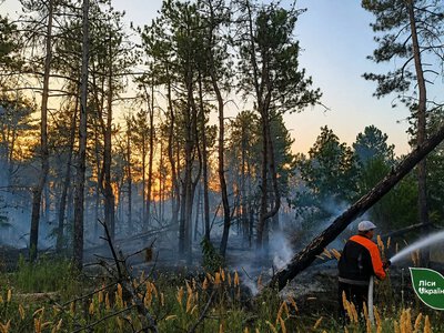 Abnormal heat caused mines to detonate and fires to break out in the forests of the Kherson region
