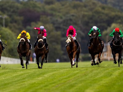 Today on Sky Sports Racing: Ascot stages Shergar Cup meeting with Lingfield also live on Saturday