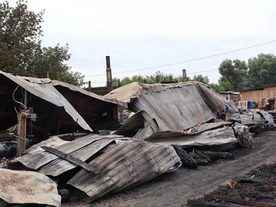 A fire broke out at an animal shelter in the Kyiv region — animals were killed