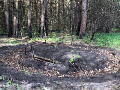 Kyiv region restores explosion crater with biochar, organic matter, and microorganisms