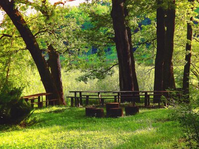 Zelenskyy signed a decree on the establishment of the Chornyi Lis National Nature Park