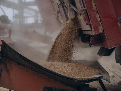 This season, Ukraine reduced wheat exports but increased corn exports