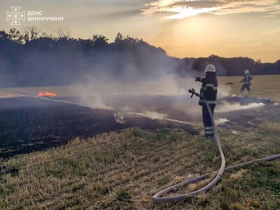 In Ukraine, efforts to extinguish seven wildfires in ecosystems are ongoing, with dozens of rescuers involved