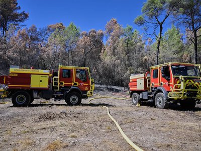 France strengthens forest protection after record fires this summer