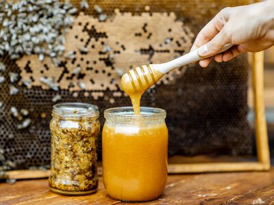 How to store honey properly so that it does not spoil: advice from a beekeeper technician