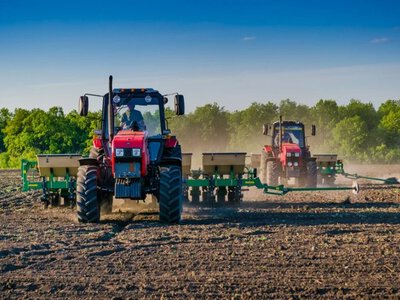 Drought amid the heat may damage crops and the sowing of winter crops - Ukrhydrometeorological Center