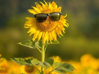 A temperature increase of 3–5° is expected — when hot weather will return to Ukraine