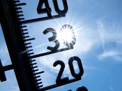 Approximately 12,500 people have already died in Germany this year due to the heat
