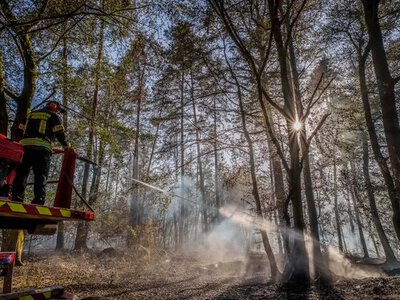 In Germany, more than 1,800 people were evacuated because of a forest fire; the flames approached a village near the border with Belgium
