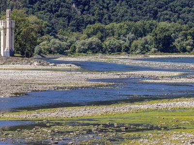 The water level in the Rhine has fallen to a historic low