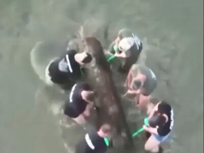 World War II mines found in Slovakia due to the Danube’s low water level