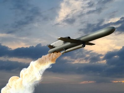 The cost of the plant producing solid rocket fuel for Flamingo missiles in Denmark has become known